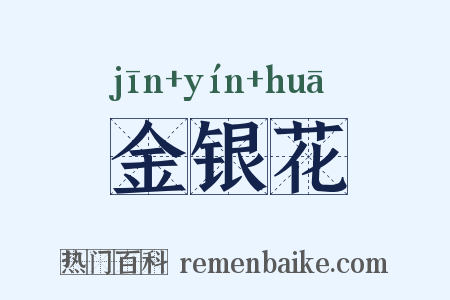 金银花是什么意思的图片